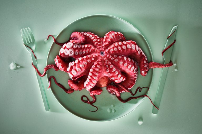 1st_cosimo barletta_red octopus_credited